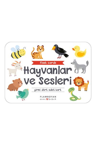Flamboyan Yayınları Animals and Sounds Themed Card Set