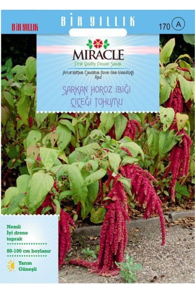 TohumBul Miracle Sarkan Kırmızı Amaranthus(horoz Ibiği) Çiçeği Tohumu( 1500to...