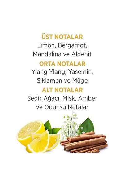 Blade Man Archer Edt 100 ml Erkek Parfüm 150 ml Deodorant Set