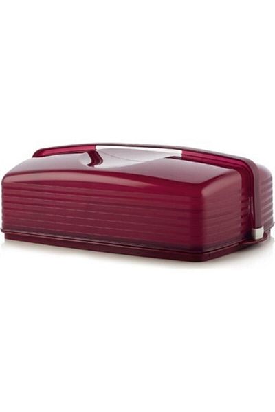 Tupperware Crystal Rectangular Cake Presentation Service Storage