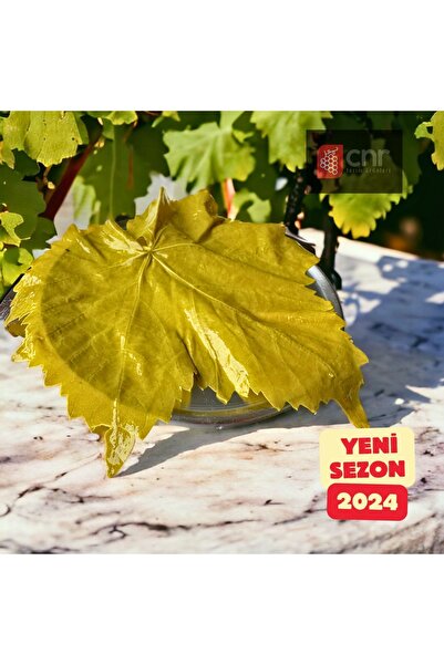 CNR Tarım Ürünleri Dökme Asma Uç Yaprağı 14 Kilogram Net