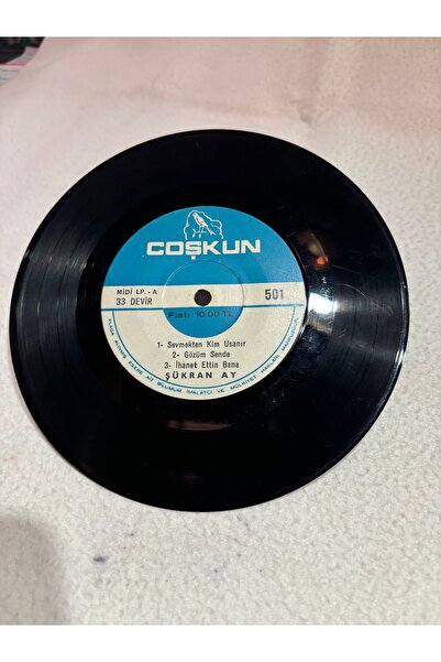 tayfuntufan antika koleksiyon Şükran ay mini LP 6 şarkı - Sevmekten kim usanı...