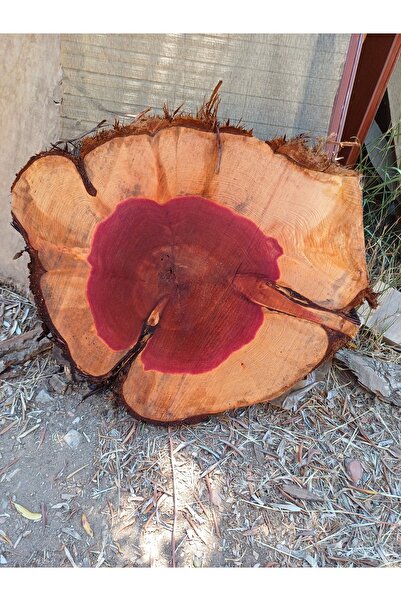 oliveforestwood Ardıç Ham Sehpa tablası