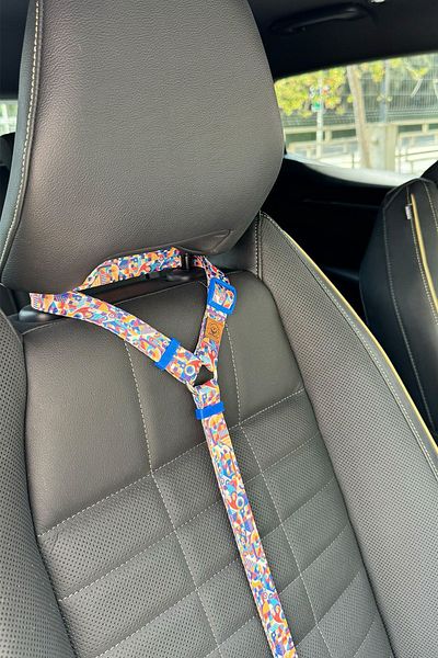 JesPawty Colorful Patterned Standard Hooked Cat Dog Car Travel Collar