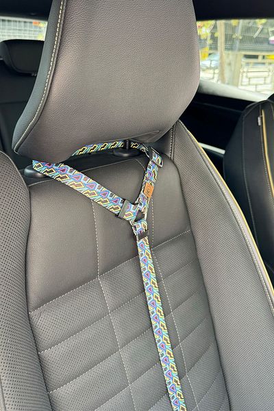 JesPawty Black Patterned Cat Dog Car Travel Collar - Standard Hooked