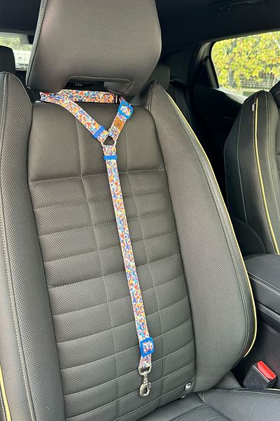 JesPawty Colorful Patterned Standard Hooked Cat Dog Car Travel Collar