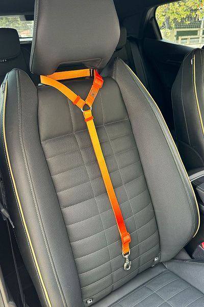 JesPawty Orange Double Color Cat Dog Car Travel Collar - Standard Hooked