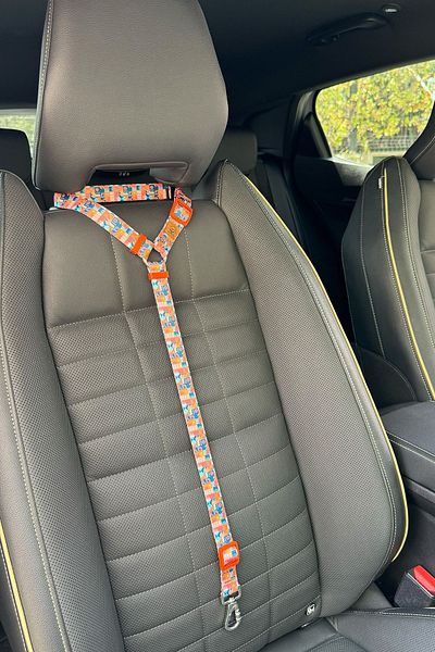 JesPawty JesOrange Extra Safety Hook Cat Dog Car Travel Collar