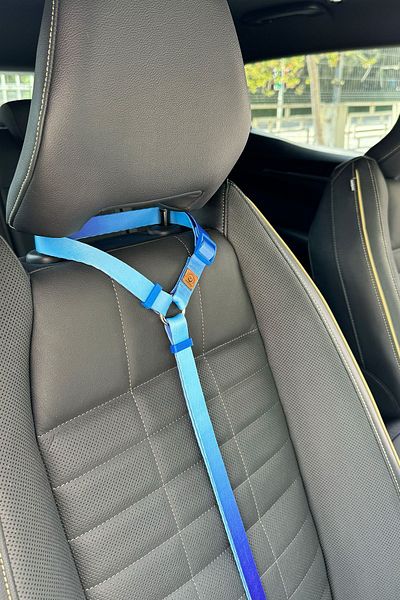 JesPawty Cat Dog Car Travel Collar - Standard with Hook, Blue and Navy