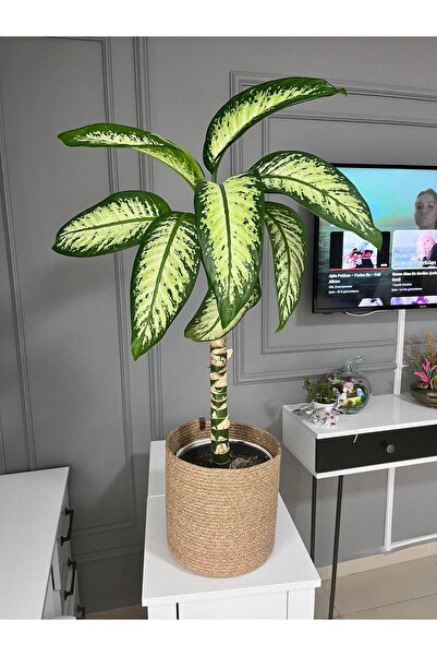 ENBEVEZ HOME Hasır Saksılık, Çok Amaçlı Hasır Sepet, Bahçe Düzenleyici 25x25