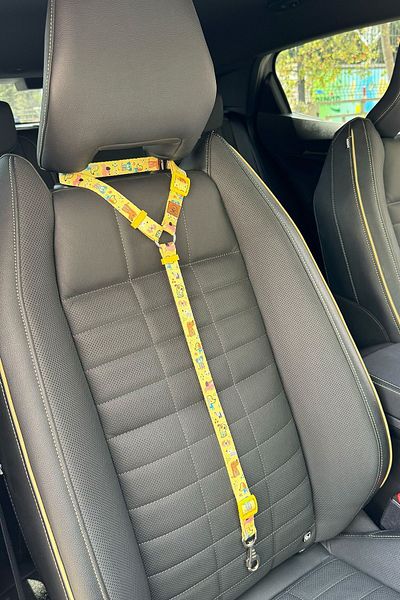 JesPawty Yellow Dog Standard Hooked Cat Car Travel Collar