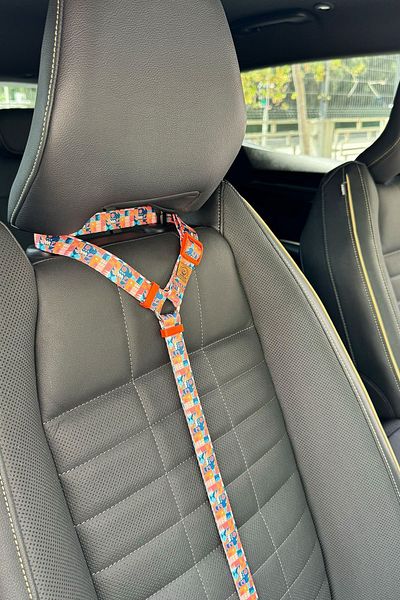 JesPawty JesOrange Extra Safety Hook Cat Dog Car Travel Collar