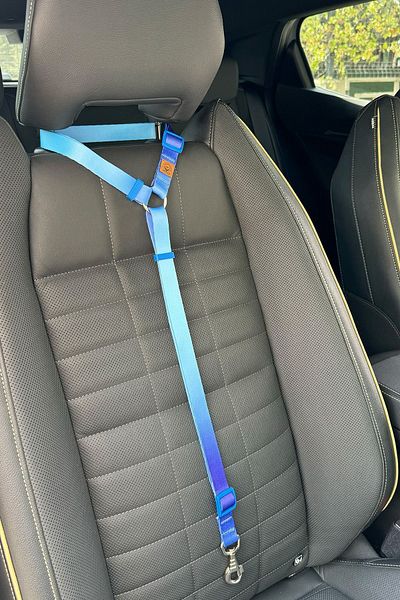 JesPawty Cat Dog Car Travel Collar - Standard with Hook, Blue and Navy