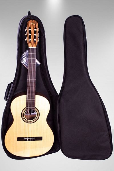 Fortex 350 Series Classic Guitar Case Black