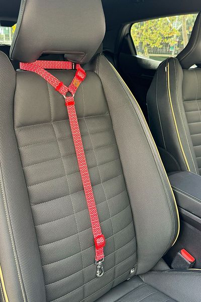 JesPawty JesRed Extra Safety Hook Cat Dog Car Travel Collar
