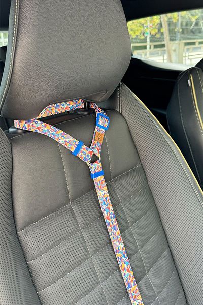 JesPawty JesPurple Extra Safety Hook Cat Dog Car Travel Collar