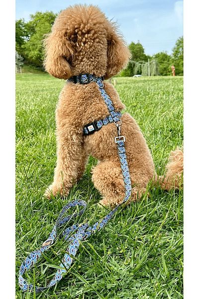 JesPawty Black Patterned Travel Collar Extra Safety Lockable System