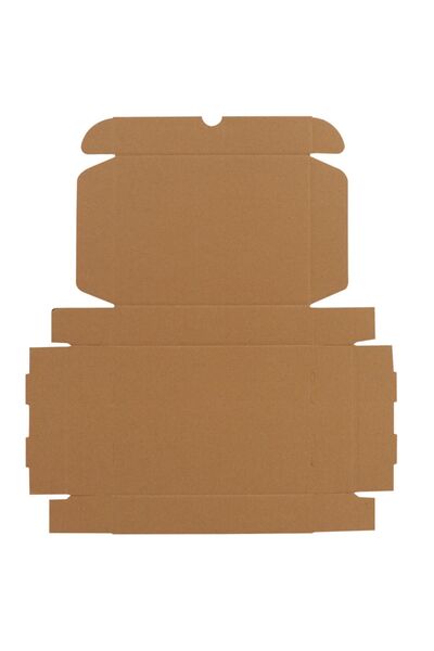 Packanya 26x19x5-50 Adet Kilitli E Ticaret Karton Kargo Kutusu