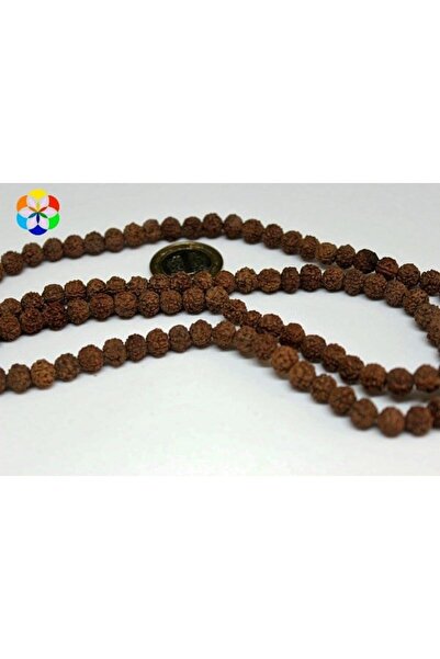 Yasamtohumu بذور رودراشكا 8 مم - ربع سلسلة بطول 9 سم