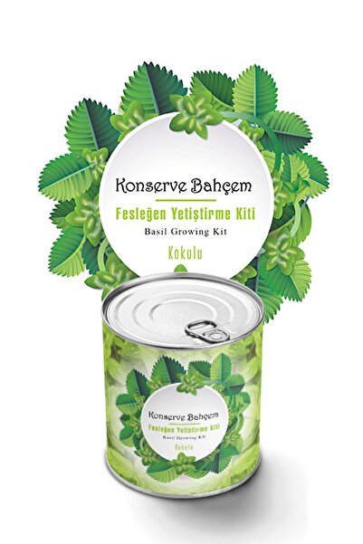 Basil Growing Kit - Vegetable Seedling Growing Kit Basil Seed And Peat Set
