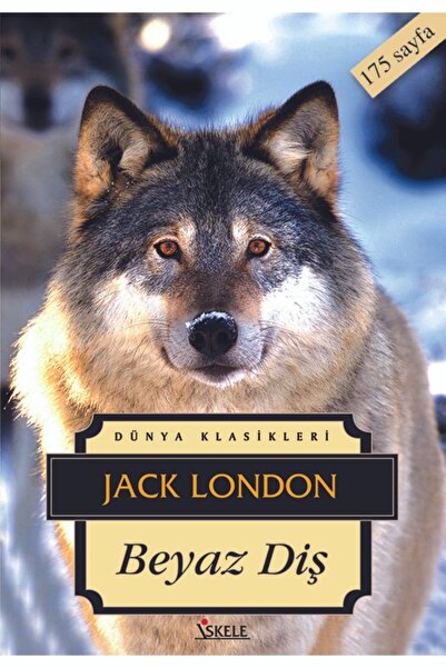 İskele Yayıncılık Beyaz Diş