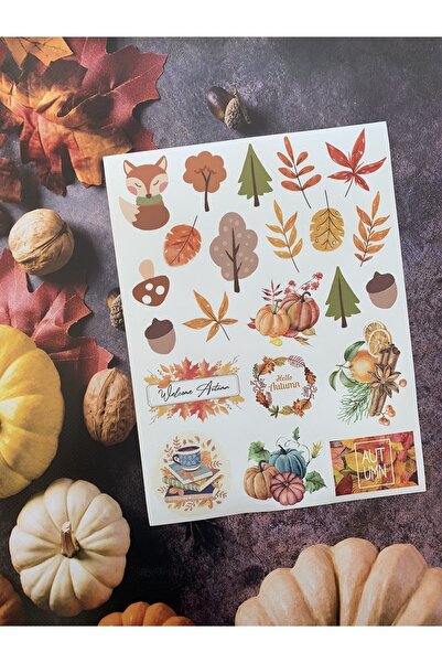 eylülün etiket fabrikası Jesenski set neprozirnih nalepnica - (2 SETA / 44 NA...