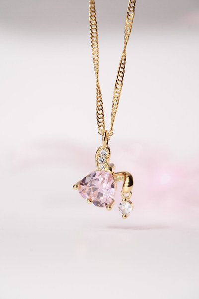 AŞIK ACCESSORIES Tavşan Çelik Kolye
