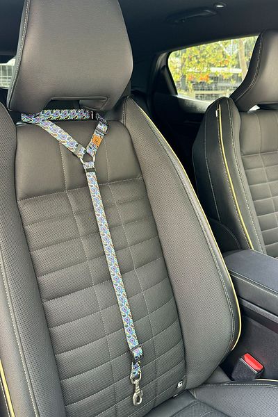 JesPawty Black Patterned Cat Dog Car Travel Collar - Standard Hooked