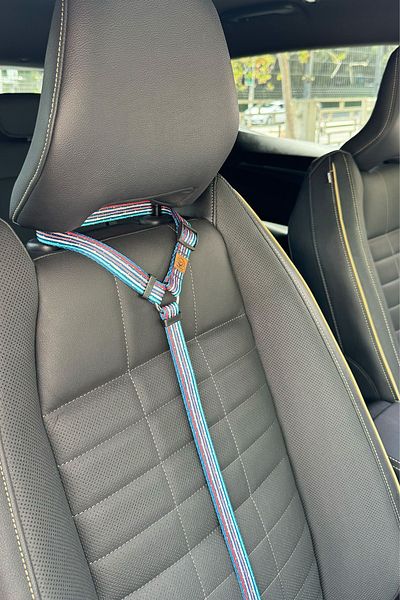 JesPawty JesColorfull Extra Safety Hook Cat Dog Car Travel Collar