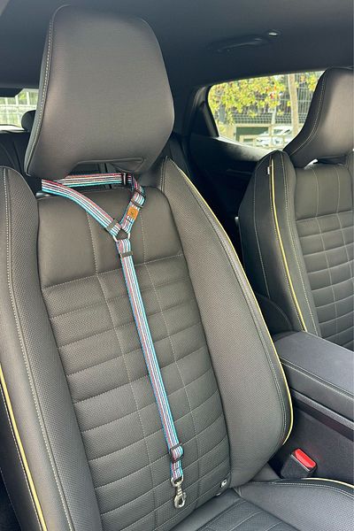 JesPawty Colorful Striped Cat Dog Car Travel Collar - Standard Hooked