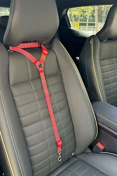 JesPawty Red Striped Standard Hooked Cat Dog Car Travel Collar