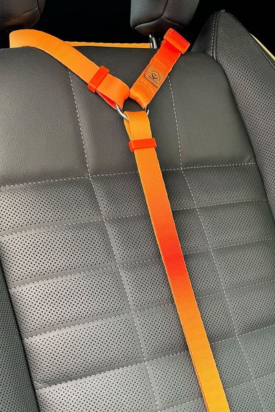 JesPawty Orange Double Color Cat Dog Car Travel Collar - Standard Hooked