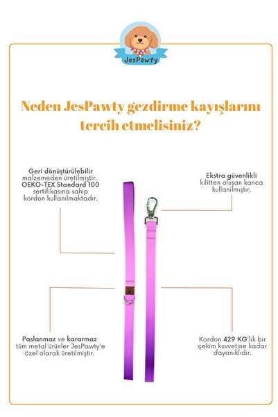 JesPawty Siyah Desenli Gezdirme Tasması Ekstra Güvenlikli Kilitli Sistem