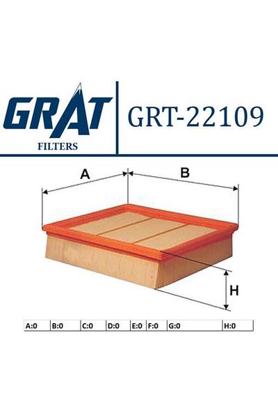 GRAT 22109 Air Filter Mercedes W169 W245 04-11