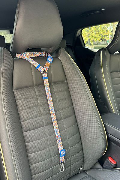 JesPawty JesPurple Extra Safety Hook Cat Dog Car Travel Collar