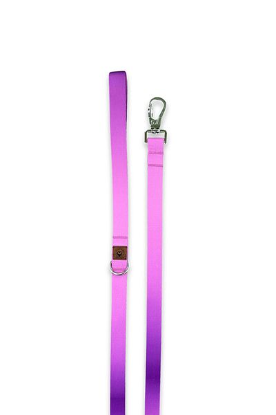 JesPawty Purple Double Color Charm Collar Extra Safety Locked System