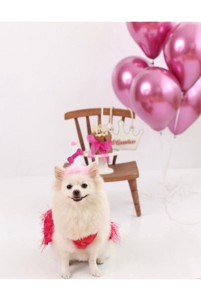 Patisserie Store Birthday/ Party Hat for Dogs Pink White Headgear