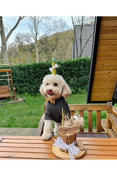 Patisserie Store Köpekler Için Doğum Günü Seti-gold Paw Kit- Doğum Günü Pastası,pati Tasarımlı Süs,doğum Günü Şapkası