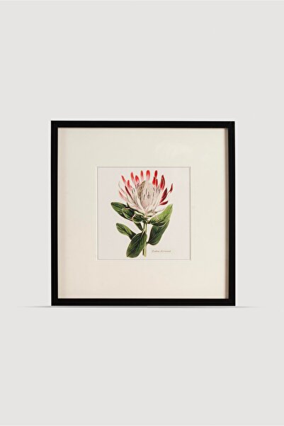 LAST TOUCH INTERIORS PLANT Serisi Tablo No:5