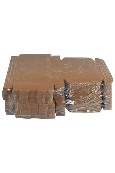 Packanya 26x19x5-50 Adet Kilitli E Ticaret Karton Kargo Kutusu