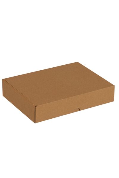 Packanya 26x19x5-50 Adet Kilitli E Ticaret Karton Kargo Kutusu