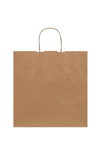Packanya 33x20x33-50 Adet Burgu Saplı Kraft Çanta