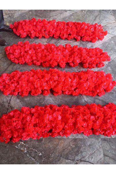 GÜRCANLAR ÇİÇEK Bahardali tag çiçeği