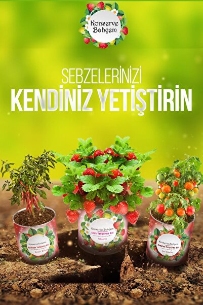Konserve Bahçem Kabak Yetiştirme Kiti - Sebze Fidesi Yetiştirme Kiti Kabak Tohumu Ve Torf Seti