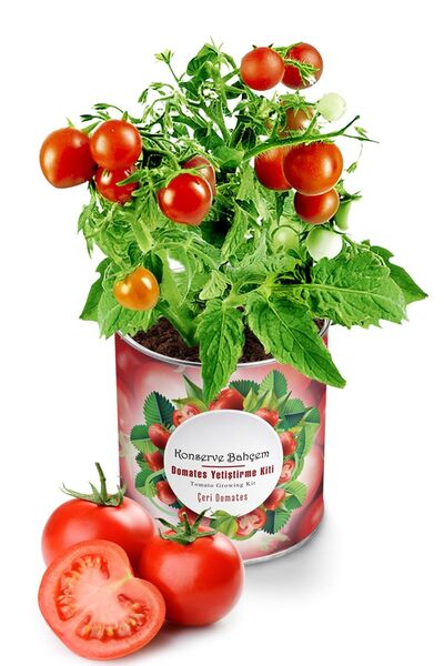 Konserve Bahçem Çeri Domates Yetiştirme Kiti - Sebze Fidesi Kiti Çeri Domates...