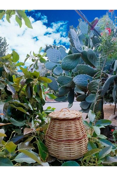 AYDOĞDU Çok amaçlı kamış el örgü kapaklı sepet