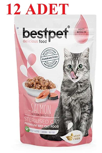 Bestpet Salmon Sterilised Pouch Somonlu Kısırlaştırılmış Kedi Konservesi 85 G...