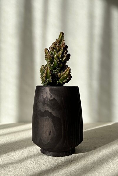 B8 Studio Ahşap Kaktüs Saksısı