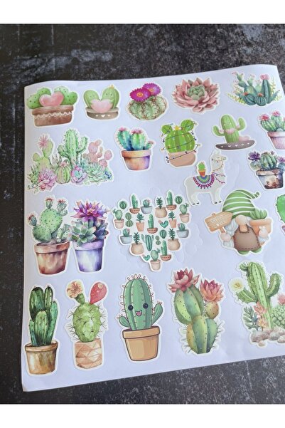 eylülün etiket fabrikası Set cactus - autocolant opac - (2 set / 44 bucăți au...