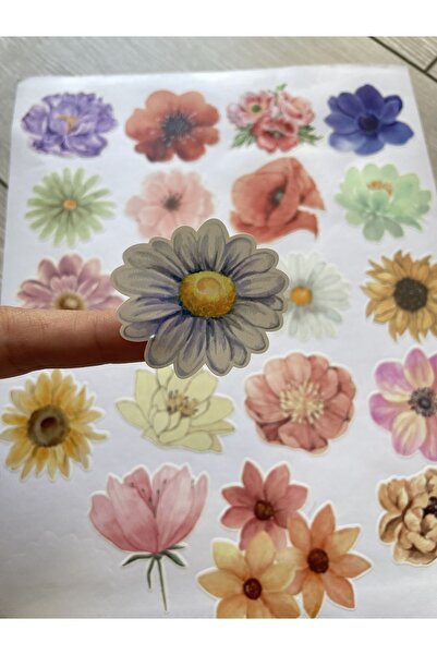 eylülün etiket fabrikası Yeni Bahar Çiçekleri Temalı - Sulu Boya Efektli Opak Sticker Set - (2 Set / 40 adet Sticker)